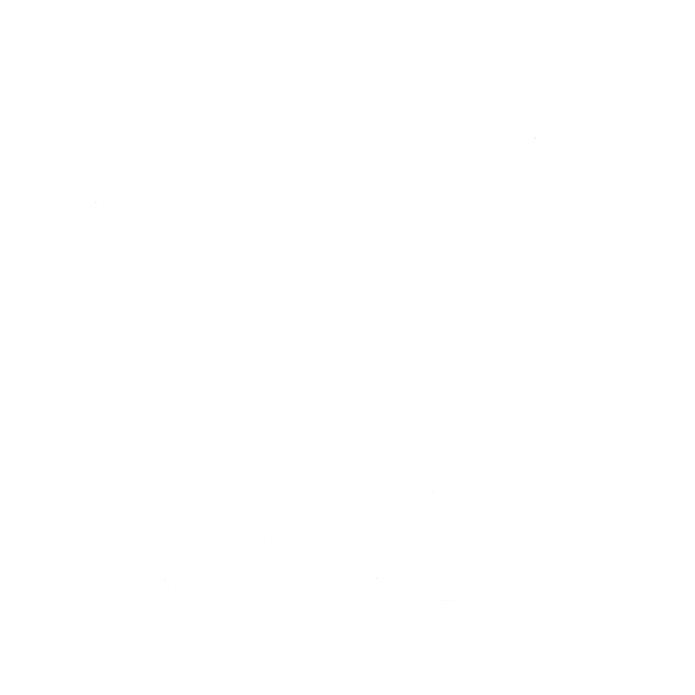 Honda1000