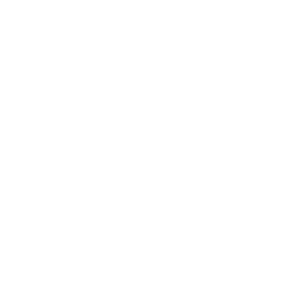 Mini1000