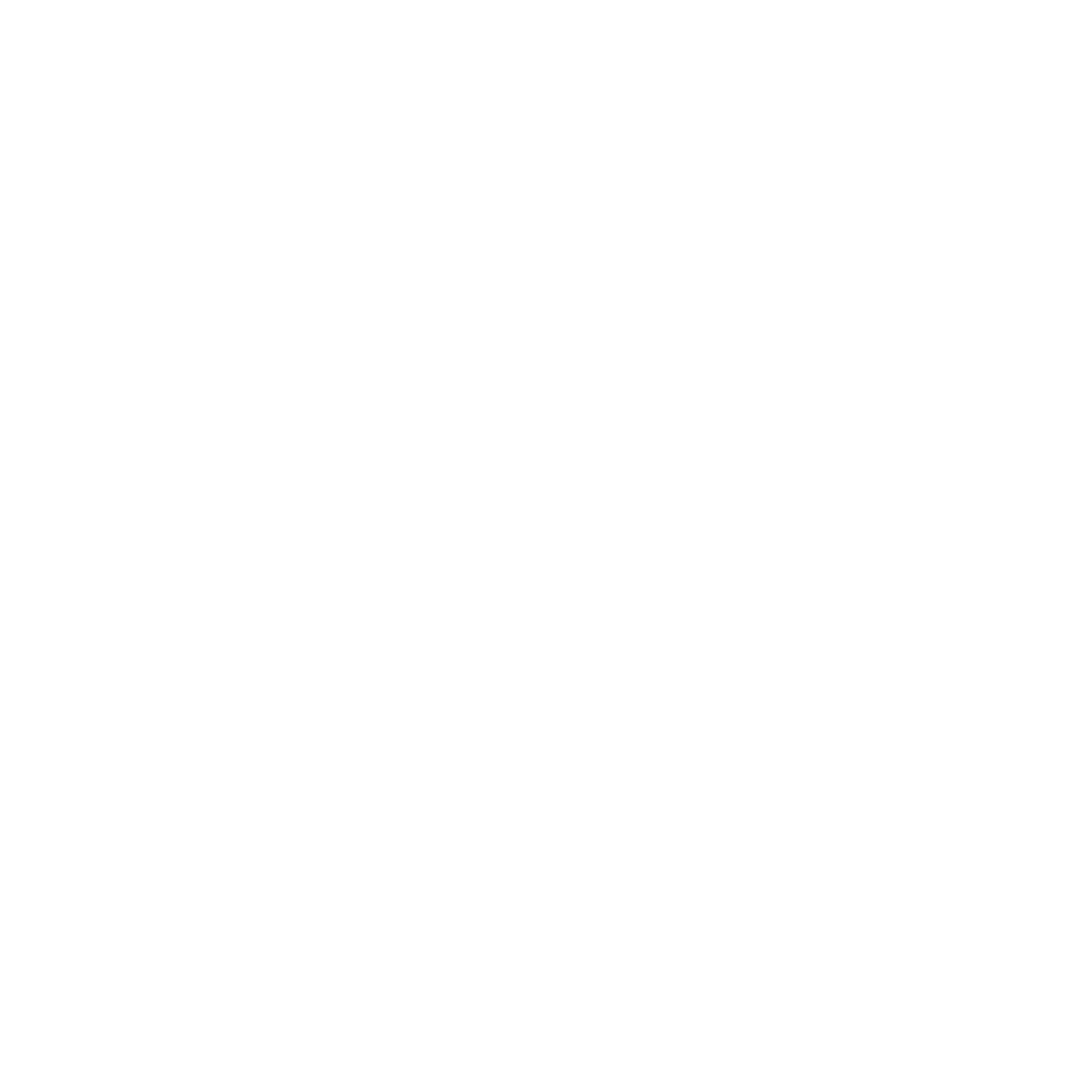 Suzuki1000