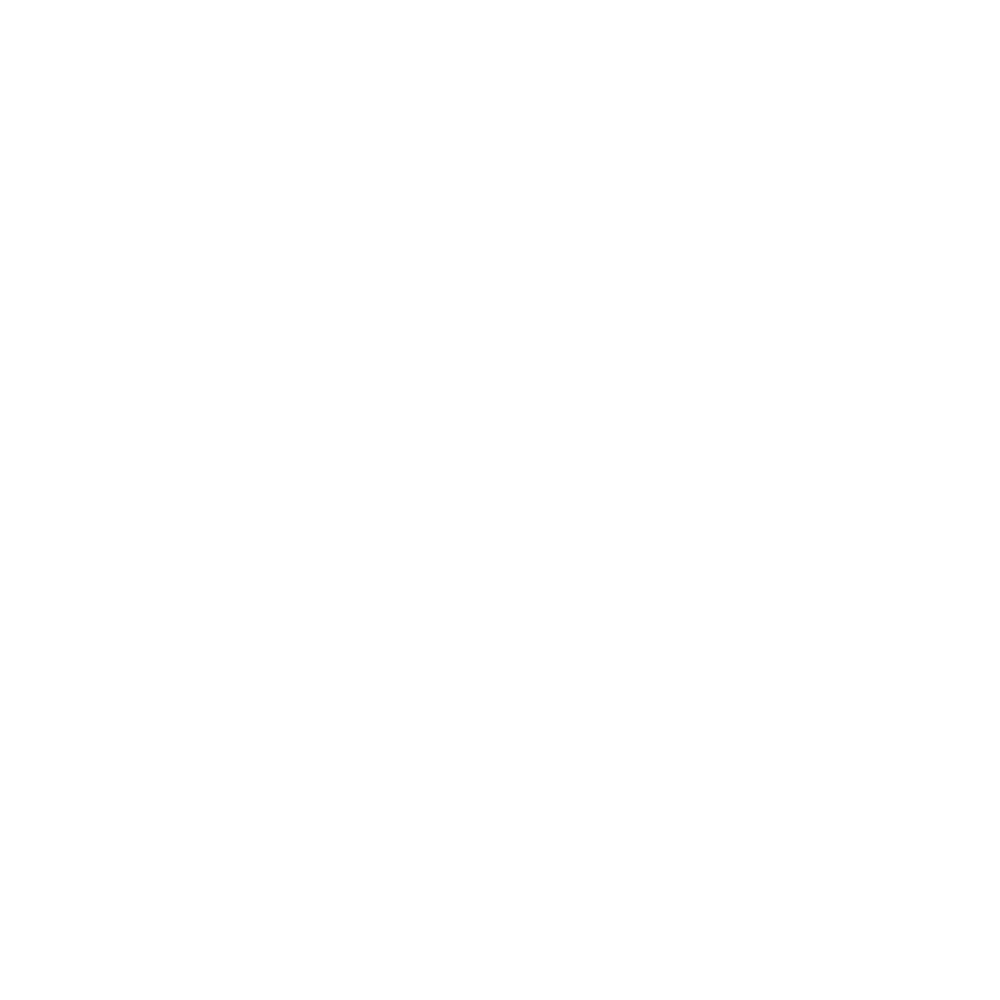 Volkswagen1000